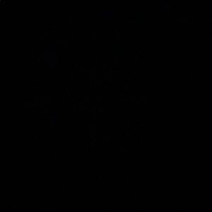 Meet your Posher, Atiya